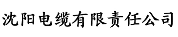 天天色影电缆厂logo